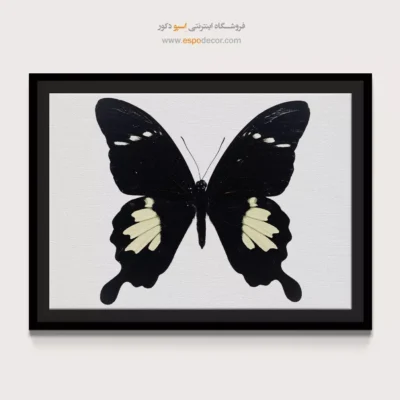 تابلو پروانه - اسپو دکور
