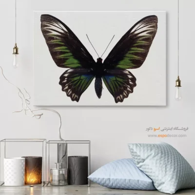 تابلو پروانه - اسپو دکور