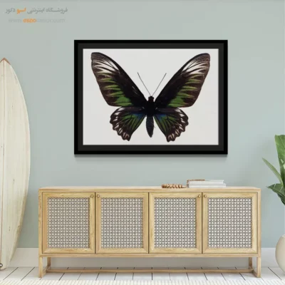 تابلو پروانه - اسپو دکور