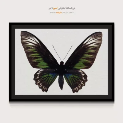 تابلو پروانه - اسپو دکور