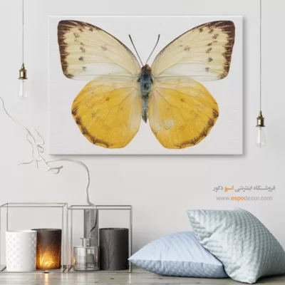 تابلو پروانه - اسپو دکور