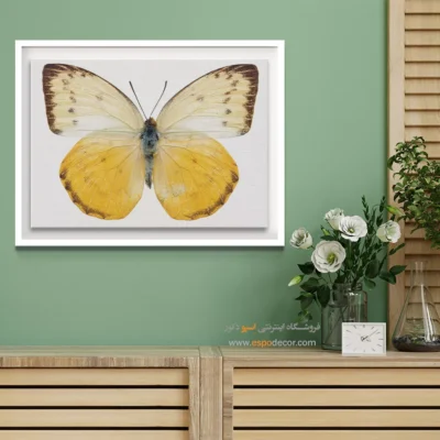 تابلو پروانه - اسپو دکور