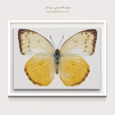 تابلو پروانه - اسپو دکور