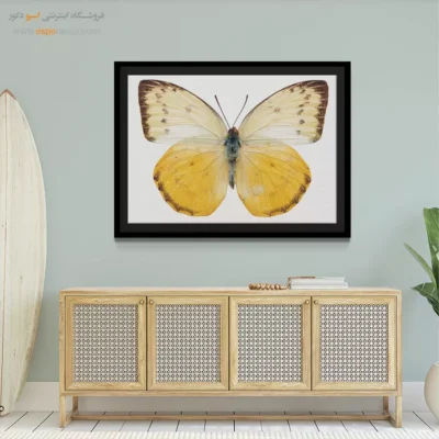 تابلو پروانه - اسپو دکور