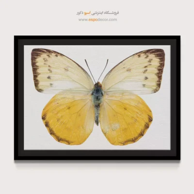 تابلو پروانه - اسپو دکور