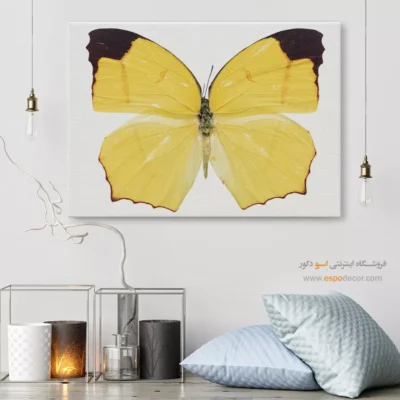 تابلو پروانه - اسپو دکور