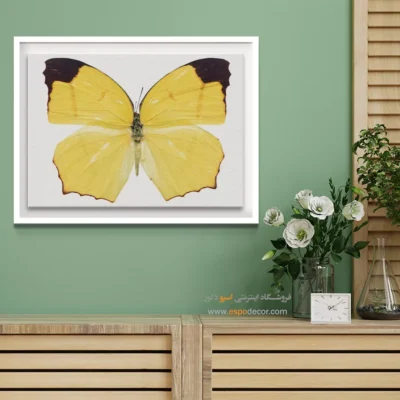 تابلو پروانه - اسپو دکور