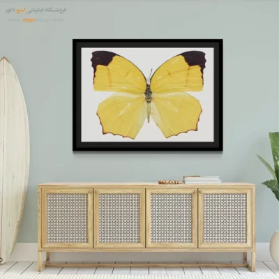 تابلو پروانه - اسپو دکور