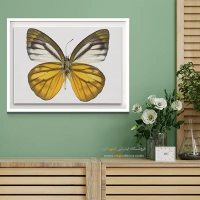 تابلو پروانه - اسپو دکور