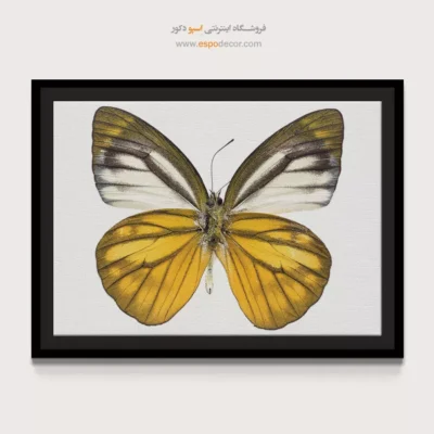 تابلو پروانه - اسپو دکور