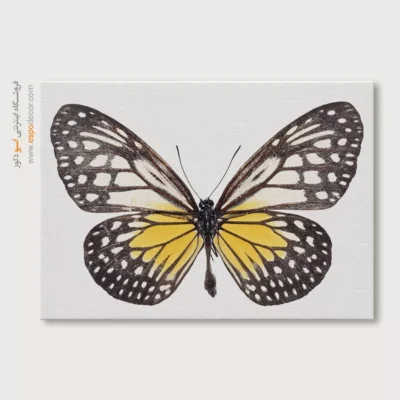 تابلو پروانه - اسپو دکور
