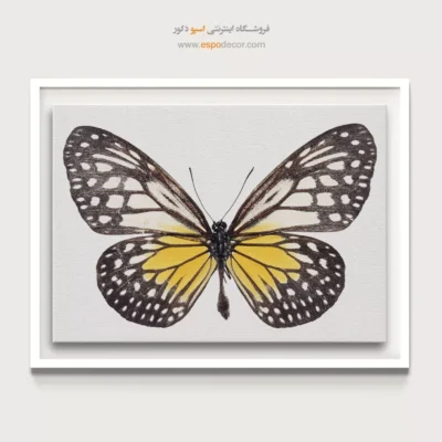تابلو پروانه - اسپو دکور