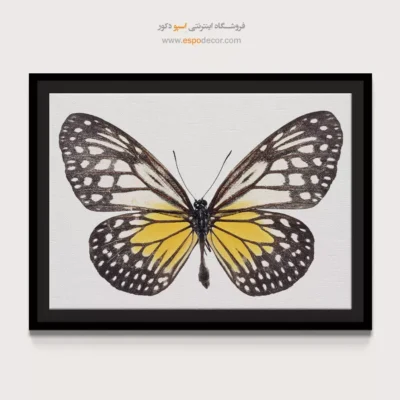 تابلو پروانه - اسپو دکور