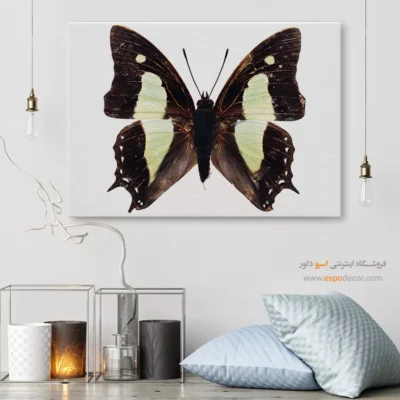تابلو پروانه - اسپو دکور