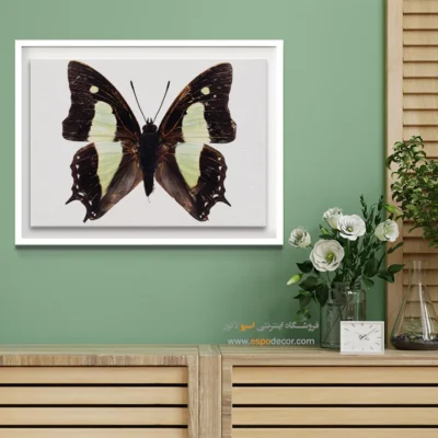 تابلو پروانه - اسپو دکور