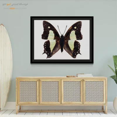 تابلو پروانه - اسپو دکور