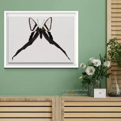 تابلو پروانه - اسپو دکور
