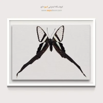 تابلو پروانه - اسپو دکور