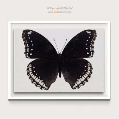 تابلو پروانه - اسپو دکور