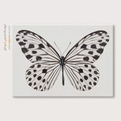 تابلو پروانه - اسپو دکور
