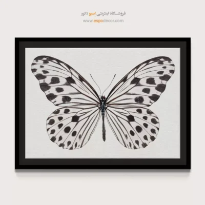 تابلو پروانه - اسپو دکور