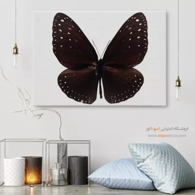 تابلو پروانه - اسپو دکور