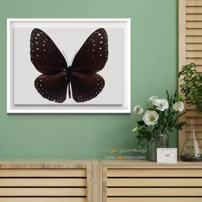 تابلو پروانه - اسپو دکور