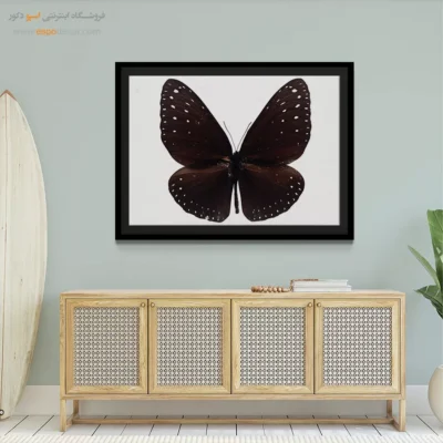 تابلو پروانه - اسپو دکور