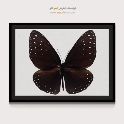 تابلو پروانه - اسپو دکور