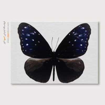 تابلو پروانه - اسپو دکور