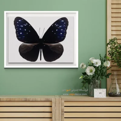 تابلو پروانه - اسپو دکور