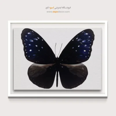 تابلو پروانه - اسپو دکور