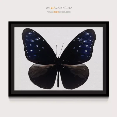 تابلو پروانه - اسپو دکور