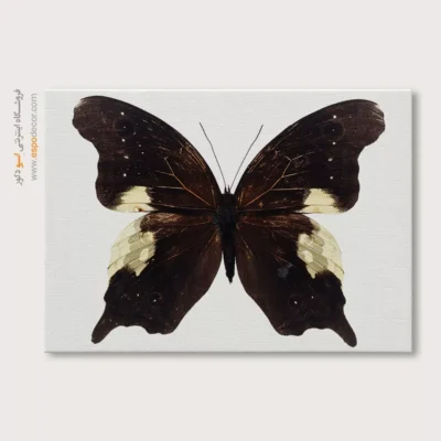 تابلو پروانه - اسپو دکور