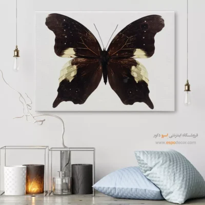 تابلو پروانه - اسپو دکور