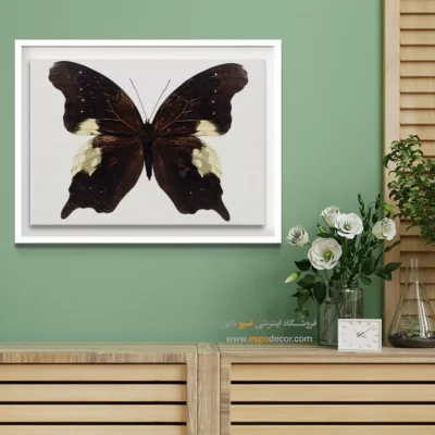 تابلو پروانه - اسپو دکور