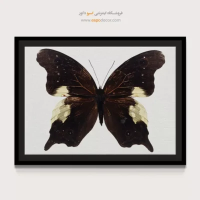تابلو پروانه - اسپو دکور