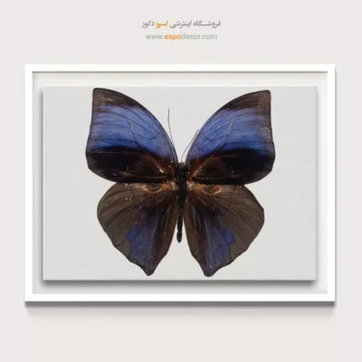 تابلو پروانه - اسپو دکور