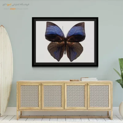 تابلو پروانه - اسپو دکور