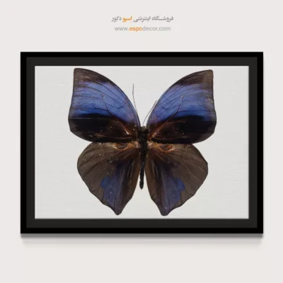 تابلو پروانه - اسپو دکور