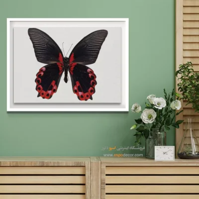 تابلو پروانه - اسپو دکور