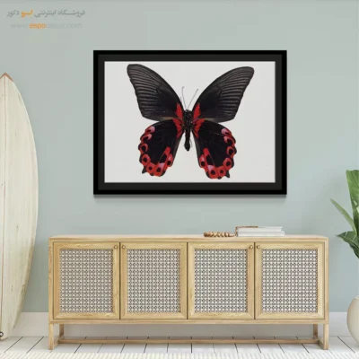 تابلو پروانه - اسپو دکور