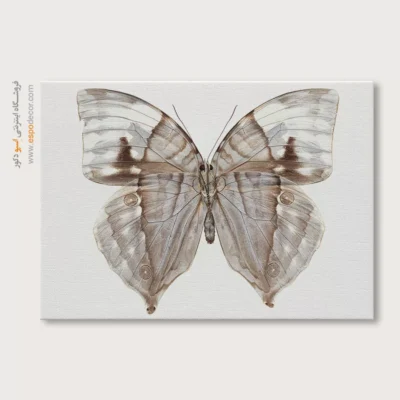 تابلو پروانه - اسپو دکور