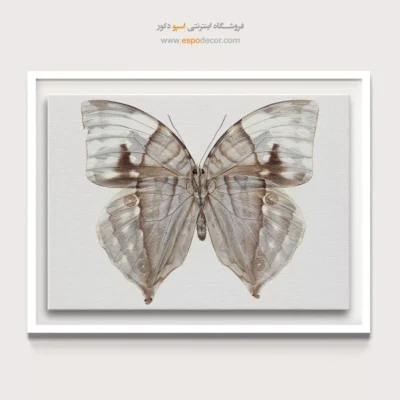تابلو پروانه - اسپو دکور