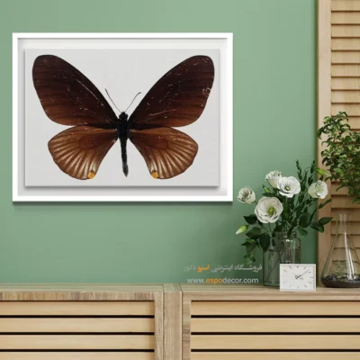 تابلو پروانه - اسپو دکور