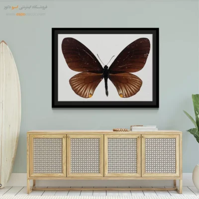 تابلو پروانه - اسپو دکور