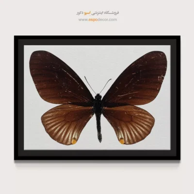 تابلو پروانه - اسپو دکور