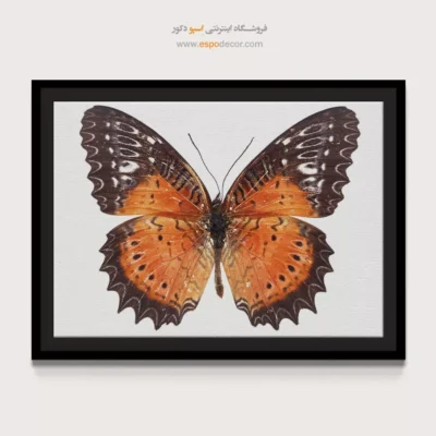تابلو پروانه - اسپو دکور