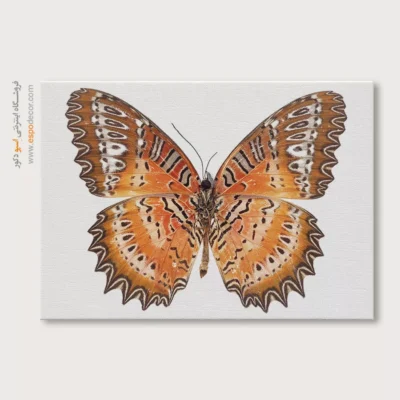 تابلو پروانه - اسپو دکور