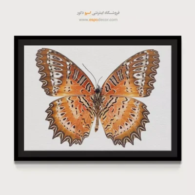 تابلو پروانه - اسپو دکور